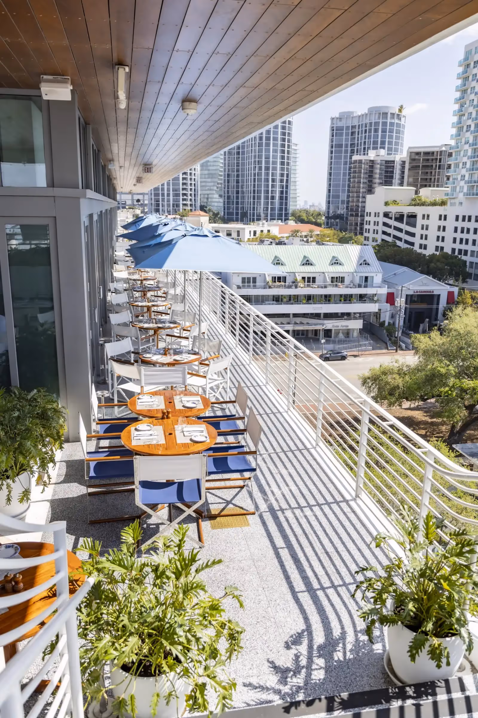 Rooftop Bellini à Miami - 1
