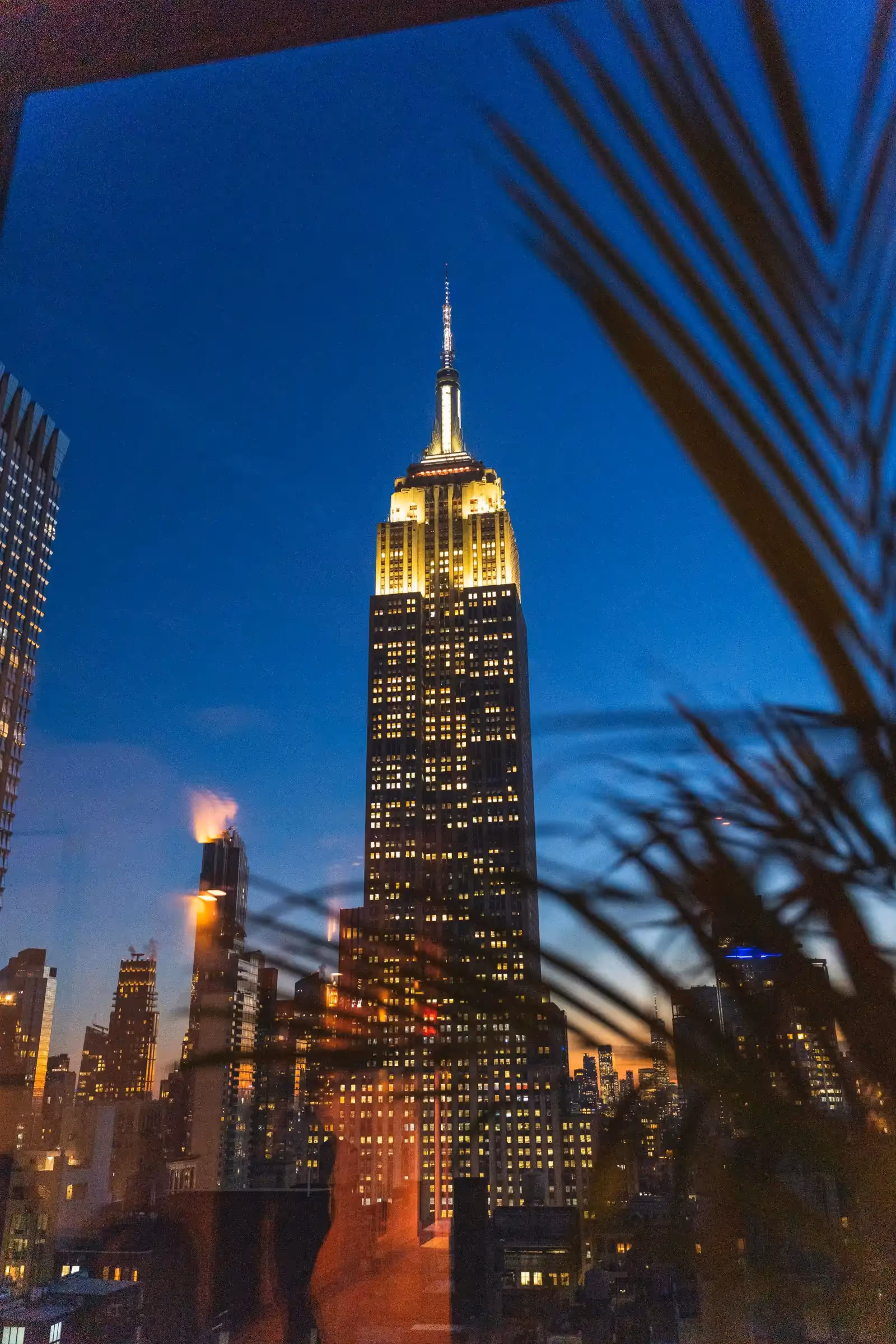 Rooftop Daintree à New-York - 2