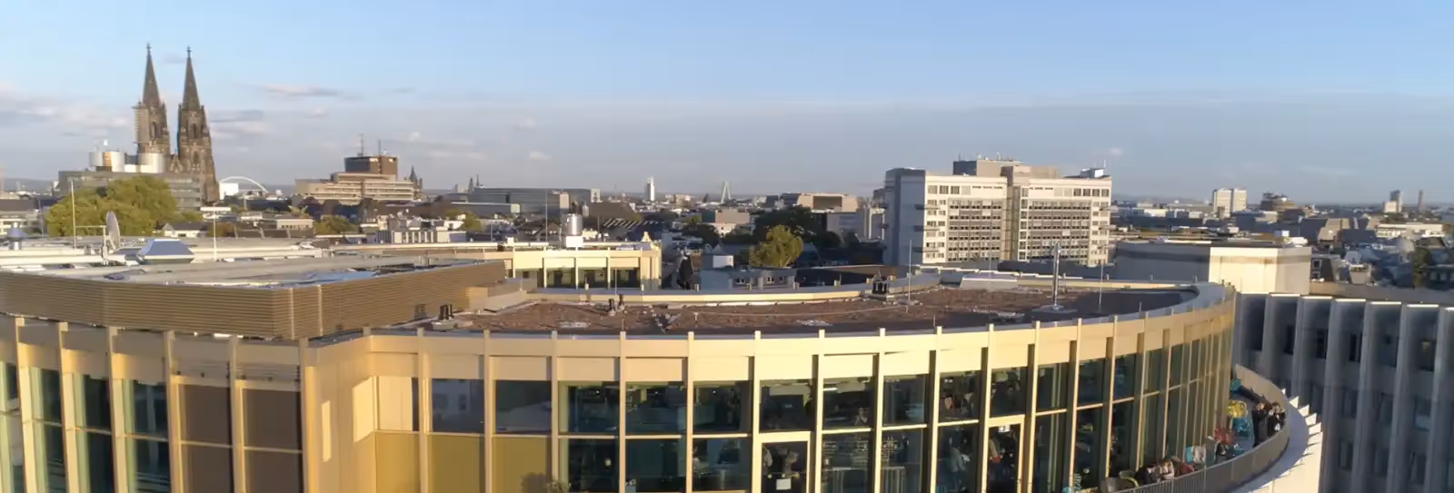 Rooftop Monkey Bar à Cologne - 1