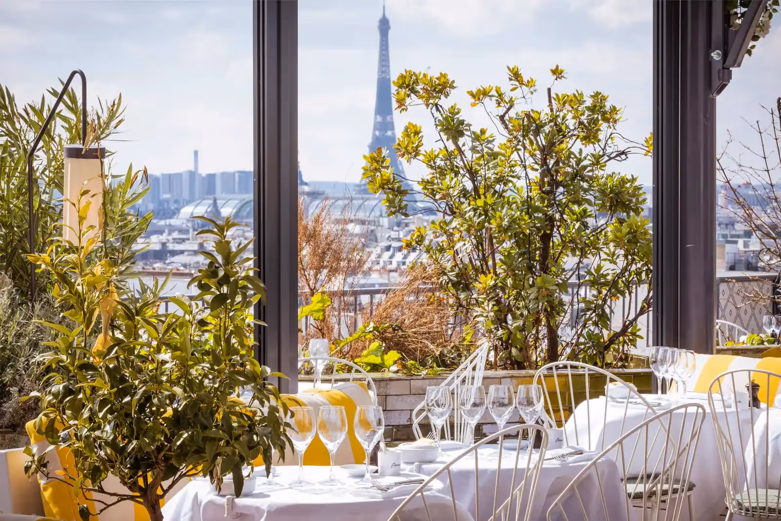 Rooftop Perruche à Paris - 1