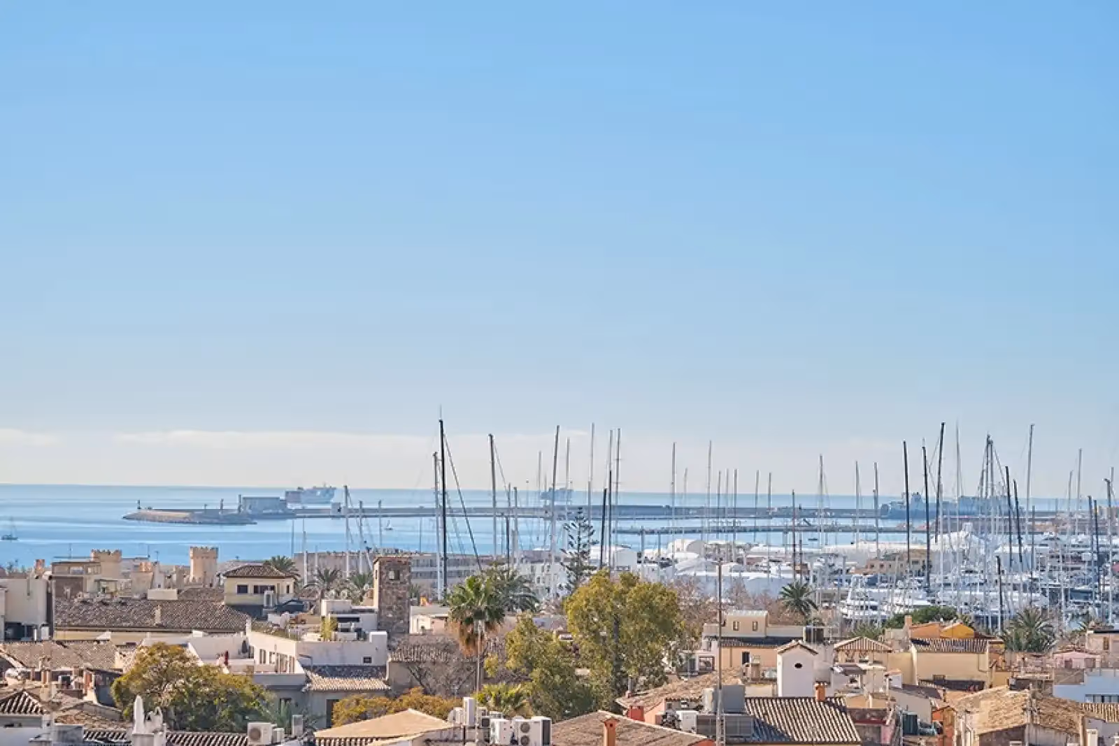 Rooftop Sky Bar Almudaina à Palma de Majorque - 2