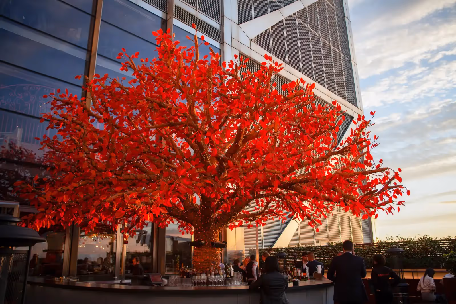 Rooftop SUSHISAMBA à Londres - 2